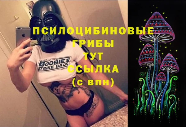 дурь Алексин