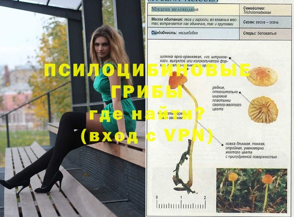 дурь Алексин