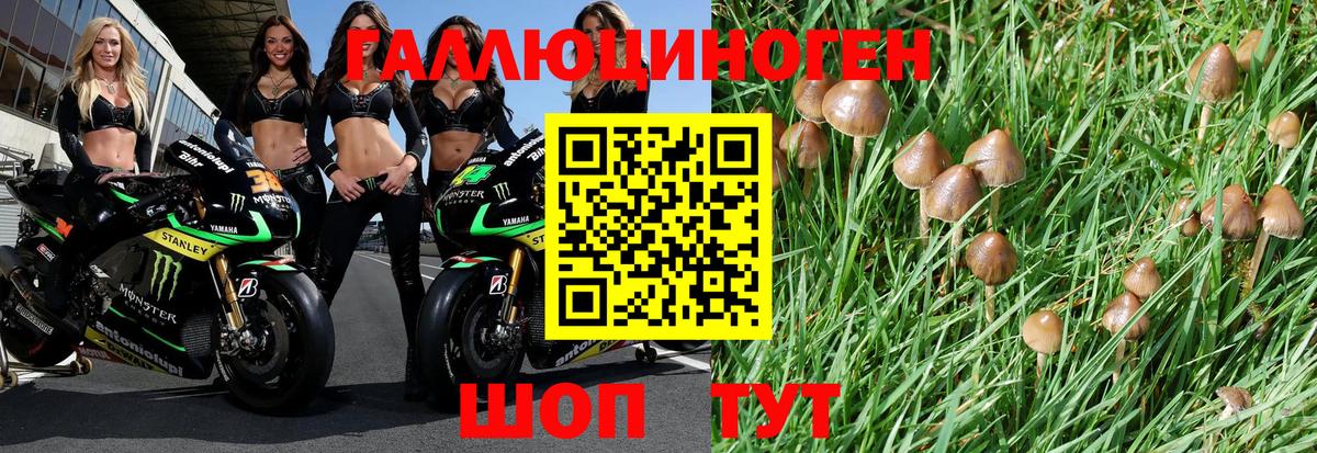 Советский  Псилоцибиновые грибы ЛСД  что такое   Вход с VPN 